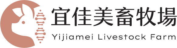 宜佳美畜牧場的配種豬購買全攻略｜專業介紹台南養豬場的優質選擇